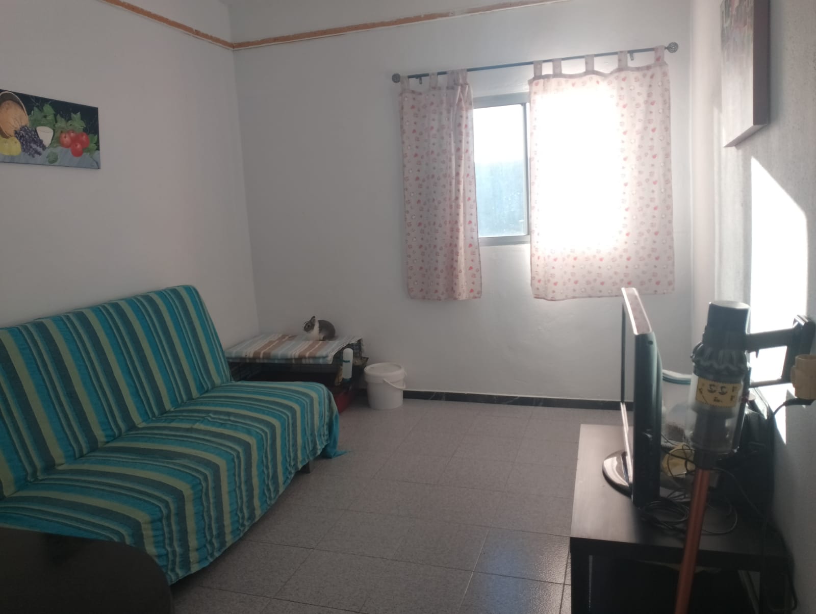 virtualhomestaging.ai